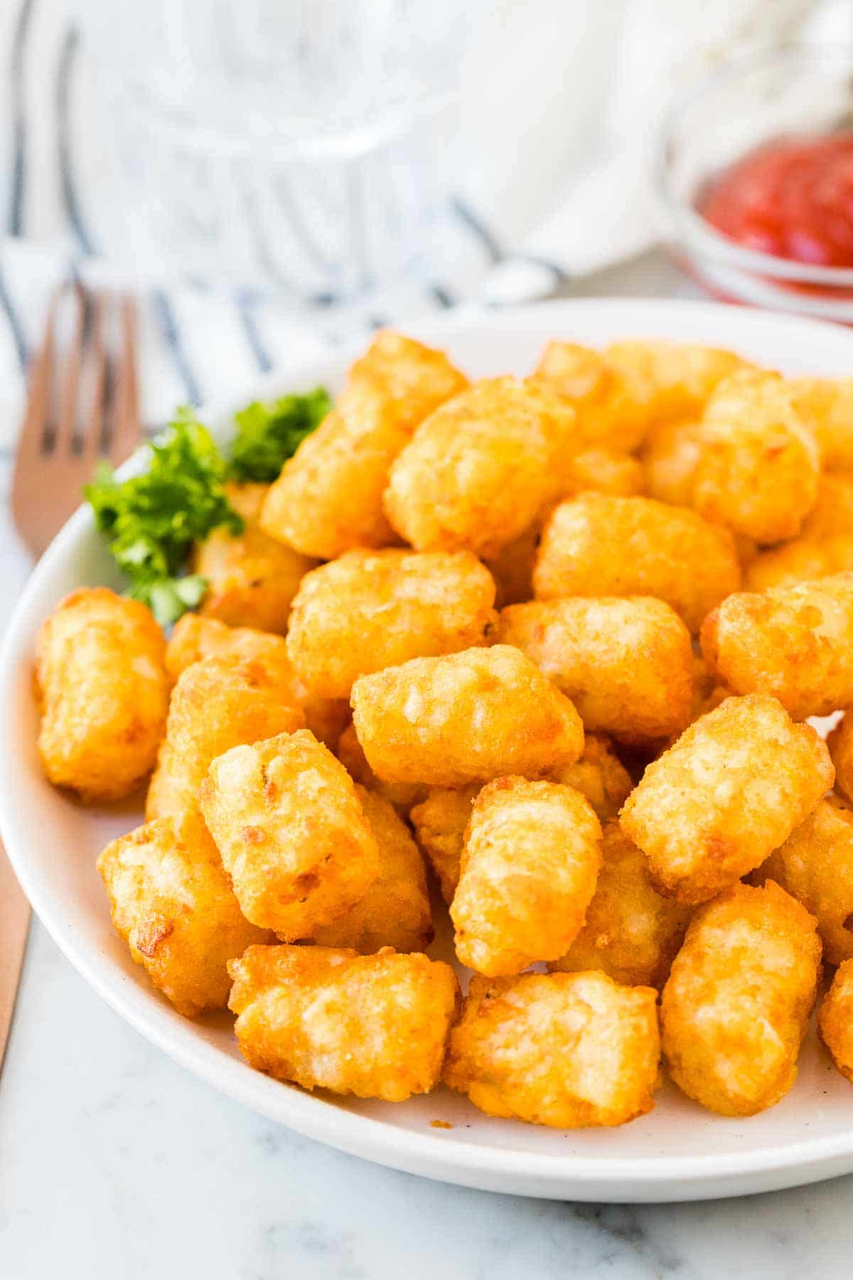 Tater Tots cuits à l'air sur une assiette blanche à côté d'un petit bol de ketchup.