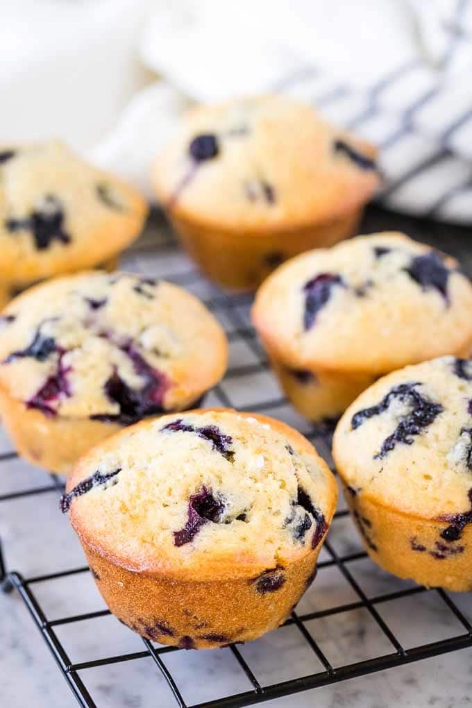 Muffins aux bleuets sur une grille de refroidissement noire